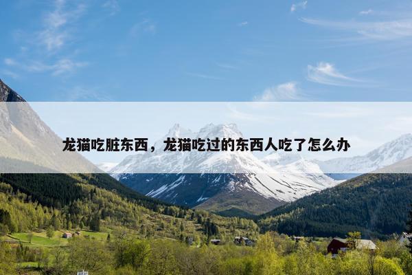 龙猫吃脏东西，龙猫吃过的东西人吃了怎么办