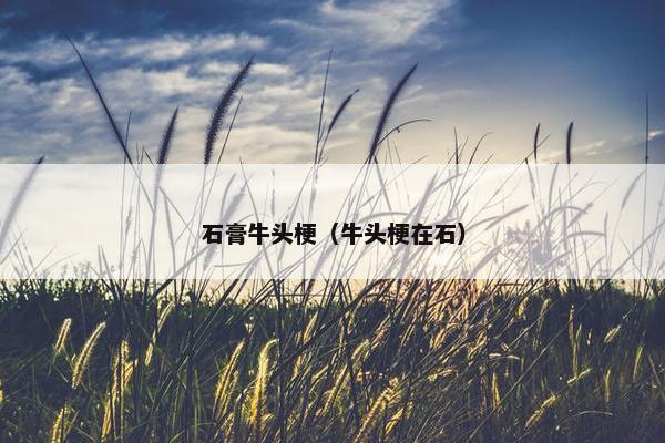 石膏牛头梗（牛头梗在石）