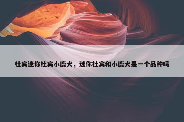 杜宾迷你杜宾小鹿犬，迷你杜宾和小鹿犬是一个品种吗