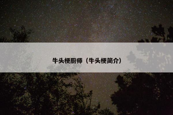 牛头梗厨师（牛头梗简介）