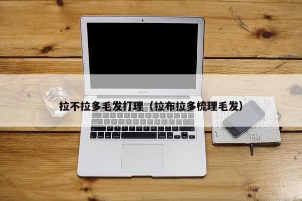 拉不拉多毛发打理（拉布拉多梳理毛发）