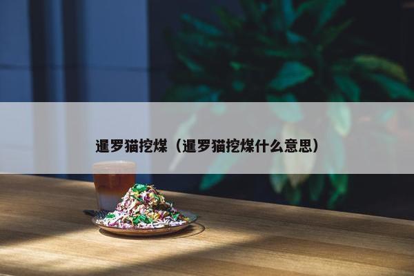 暹罗猫挖煤（暹罗猫挖煤什么意思）