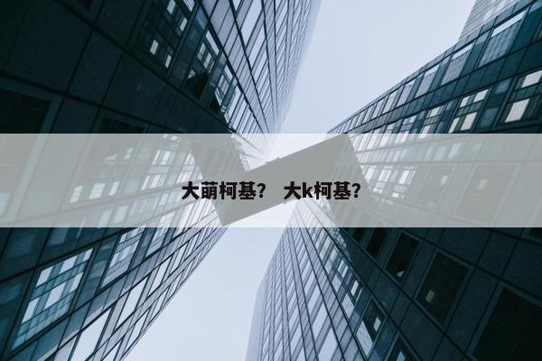 大萌柯基？ 大k柯基？