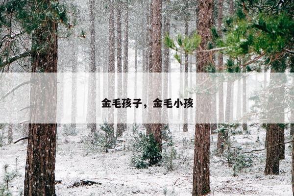 金毛孩子，金毛小孩