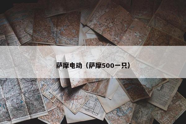 萨摩电动（萨摩500一只）