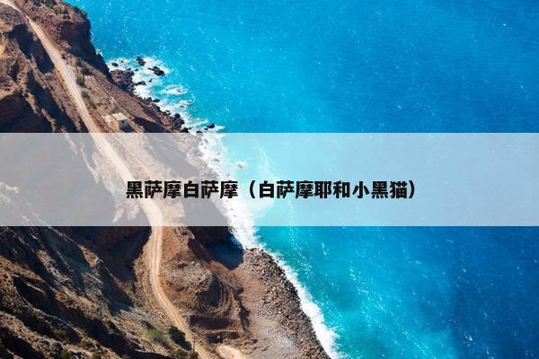 黑萨摩白萨摩（白萨摩耶和小黑猫）