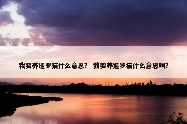 我要养暹罗猫什么意思？ 我要养暹罗猫什么意思啊？