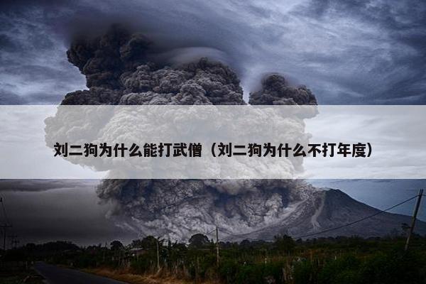 刘二狗为什么能打武僧（刘二狗为什么不打年度）