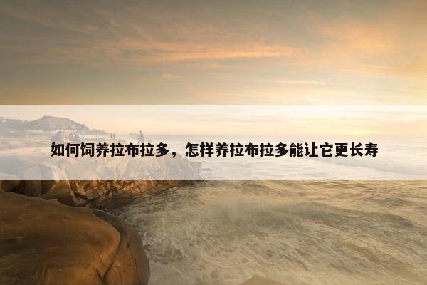 如何饲养拉布拉多，怎样养拉布拉多能让它更长寿