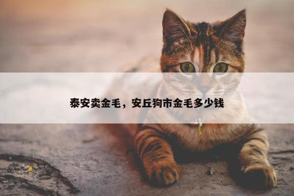 泰安卖金毛，安丘狗市金毛多少钱