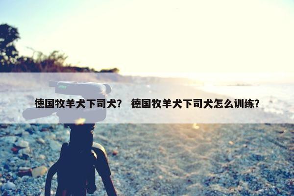德国牧羊犬下司犬？ 德国牧羊犬下司犬怎么训练？