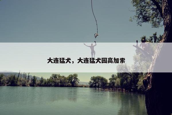 大连猛犬，大连猛犬园高加索