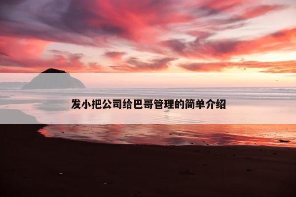 发小把公司给巴哥管理的简单介绍