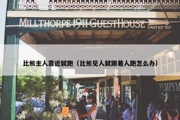 比熊主人靠近就跑（比熊见人就跟着人跑怎么办）