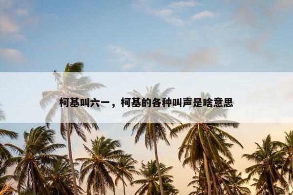 柯基叫六一，柯基的各种叫声是啥意思