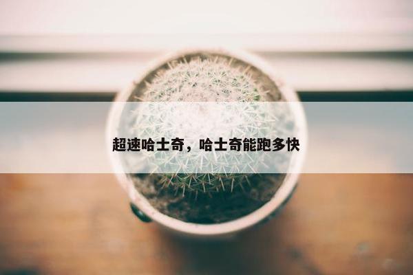 超速哈士奇，哈士奇能跑多快