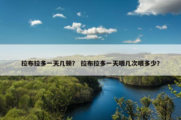 拉布拉多一天几顿？ 拉布拉多一天喂几次喂多少？