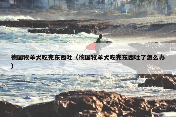 德国牧羊犬吃完东西吐（德国牧羊犬吃完东西吐了怎么办）