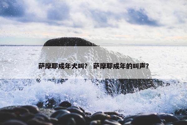 萨摩耶成年犬叫？ 萨摩耶成年的叫声？