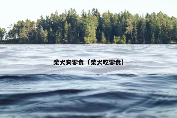 柴犬狗零食（柴犬吃零食）
