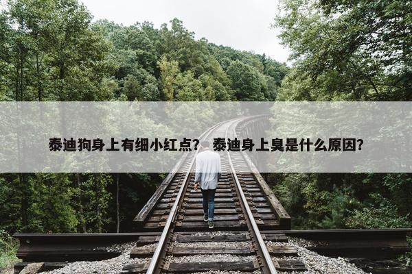 泰迪狗身上有细小红点？ 泰迪身上臭是什么原因？