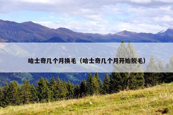 哈士奇几个月换毛（哈士奇几个月开始脱毛）