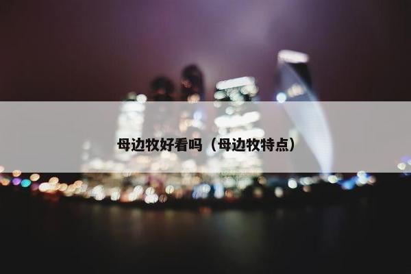 母边牧好看吗（母边牧特点）