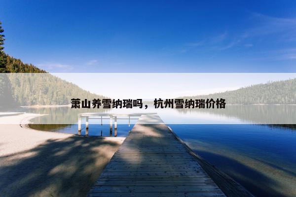萧山养雪纳瑞吗，杭州雪纳瑞价格