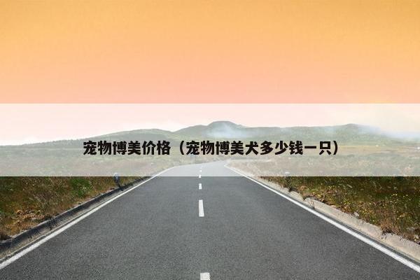 宠物博美价格（宠物博美犬多少钱一只）