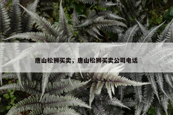 唐山松狮买卖，唐山松狮买卖公司电话