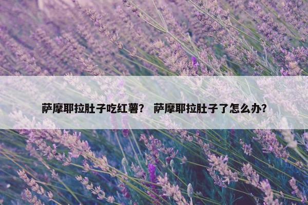 萨摩耶拉肚子吃红薯？ 萨摩耶拉肚子了怎么办？
