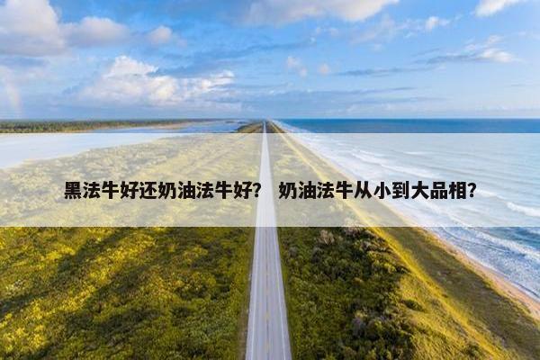 黑法牛好还奶油法牛好？ 奶油法牛从小到大品相？