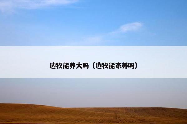 边牧能养大吗（边牧能家养吗）
