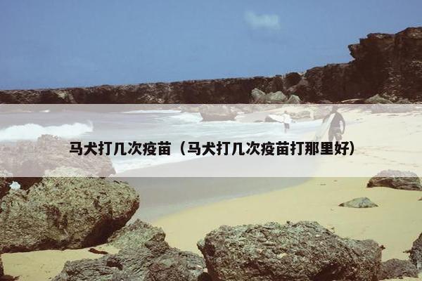 马犬打几次疫苗（马犬打几次疫苗打那里好）