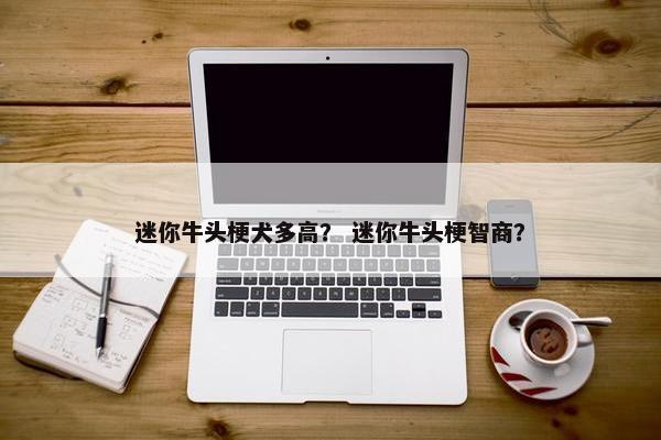 迷你牛头梗犬多高？ 迷你牛头梗智商？