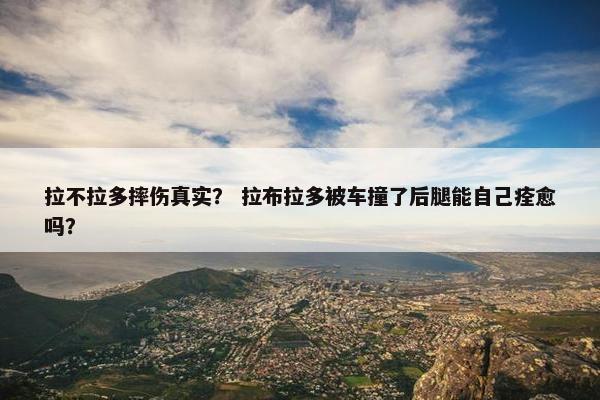 拉不拉多摔伤真实？ 拉布拉多被车撞了后腿能自己痊愈吗？