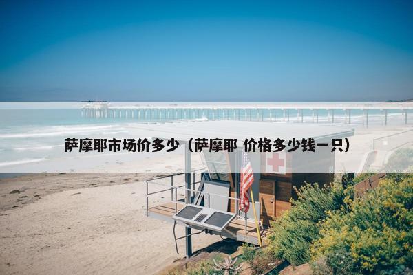 萨摩耶市场价多少（萨摩耶 价格多少钱一只）
