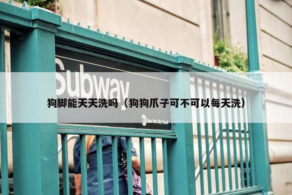 狗脚能天天洗吗（狗狗爪子可不可以每天洗）