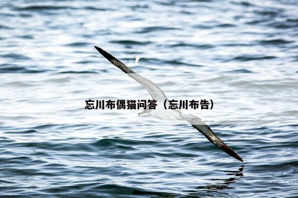 忘川布偶猫问答（忘川布告）