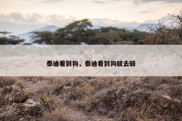 泰迪看到狗，泰迪看到狗就去骑