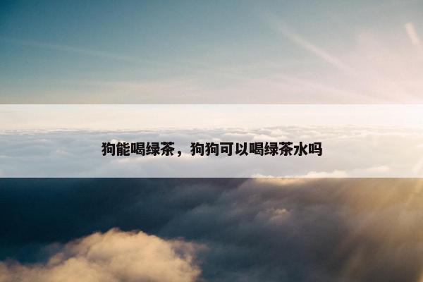 狗能喝绿茶，狗狗可以喝绿茶水吗