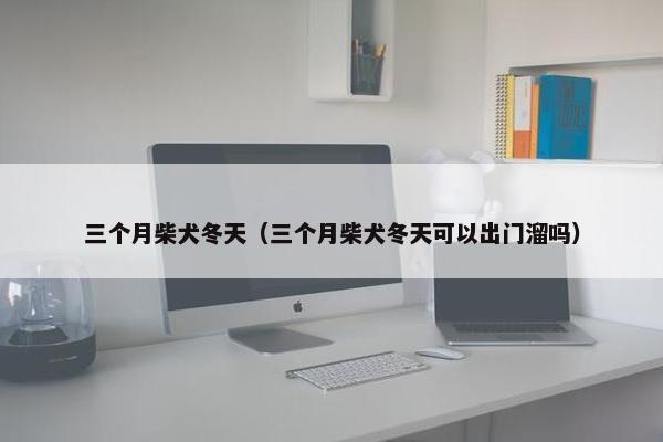 三个月柴犬冬天（三个月柴犬冬天可以出门溜吗）