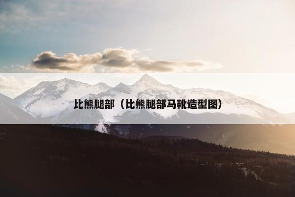 比熊腿部（比熊腿部马靴造型图）