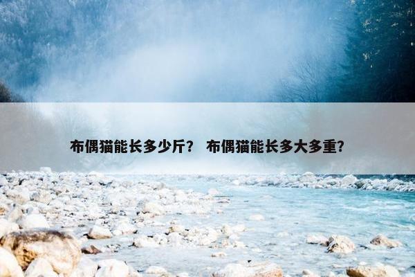 布偶猫能长多少斤？ 布偶猫能长多大多重？