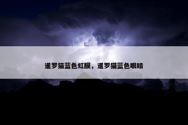 暹罗猫蓝色虹膜，暹罗猫蓝色眼睛