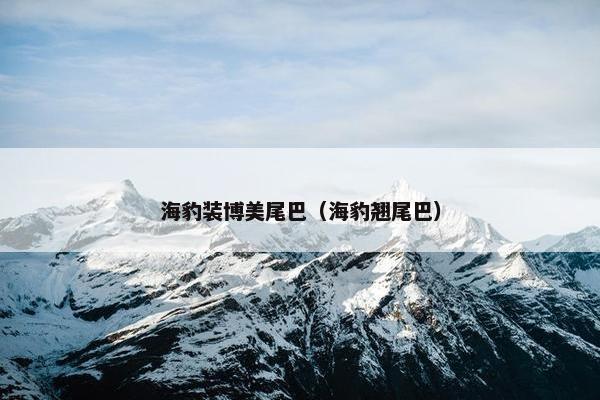海豹装博美尾巴（海豹翘尾巴）