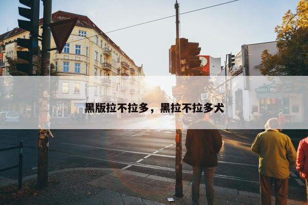 黑版拉不拉多，黑拉不拉多犬