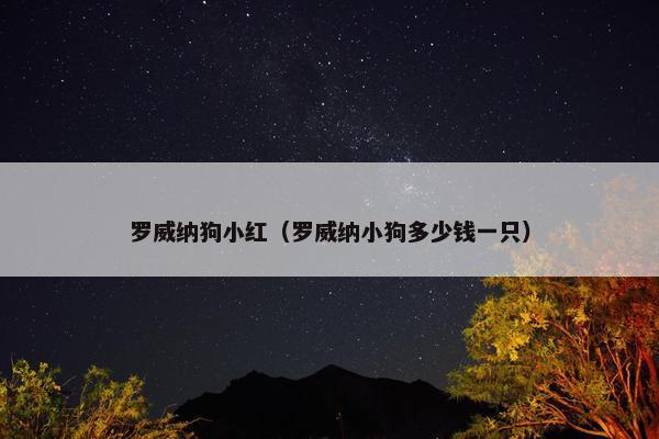 罗威纳狗小红（罗威纳小狗多少钱一只）