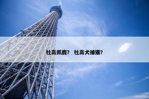 杜高抓鹿？ 杜高犬捕猎？