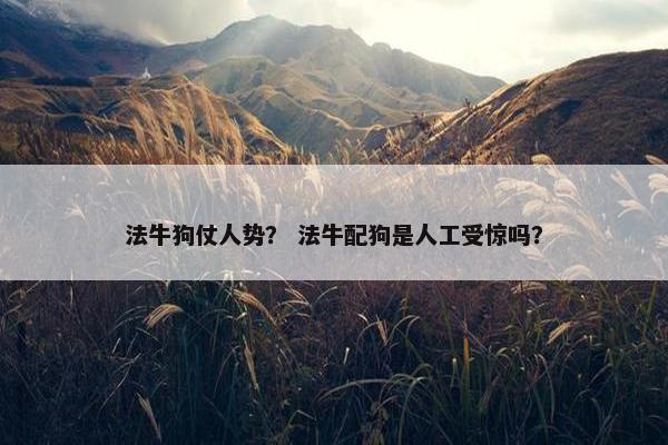 法牛狗仗人势？ 法牛配狗是人工受惊吗？